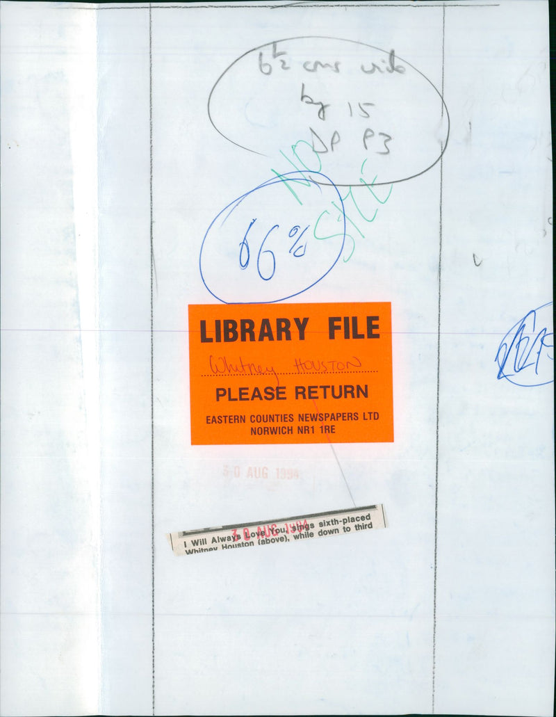 Whitney Houston American singer - Vintage Photograph