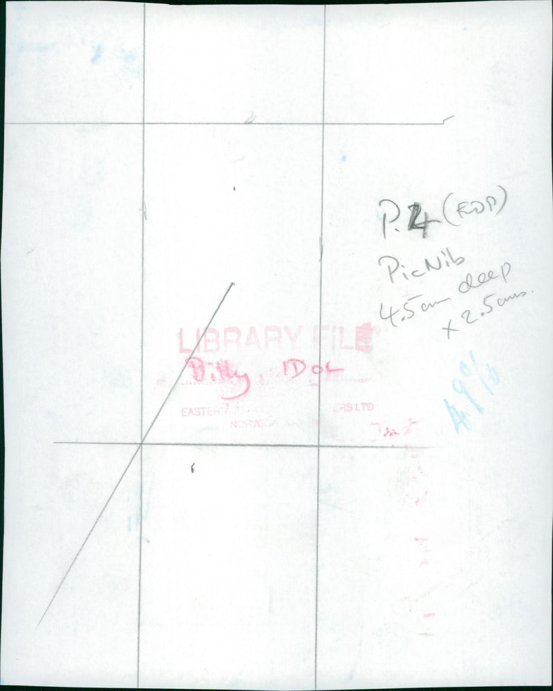 Billy Idol Musician. - Vintage Photograph