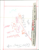 Peter Jay and the Jaywalkers Musical group - Vintage Photograph