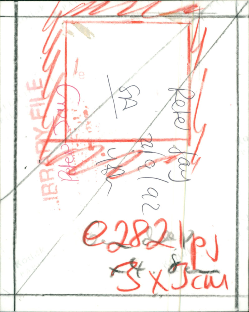 Peter Jay and the Jaywalkers Musical group - Vintage Photograph