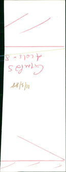 Peter Jay and the Jaywalkers Musical group - Vintage Photograph