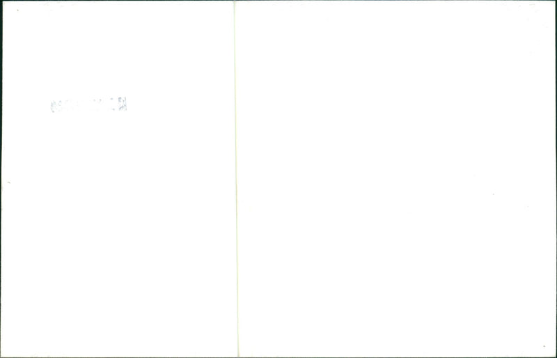 Peter Jay and the Jaywalkers Musical group - Vintage Photograph