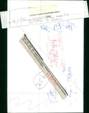 Peter Jay and the Jaywalkers Musical group - Vintage Photograph