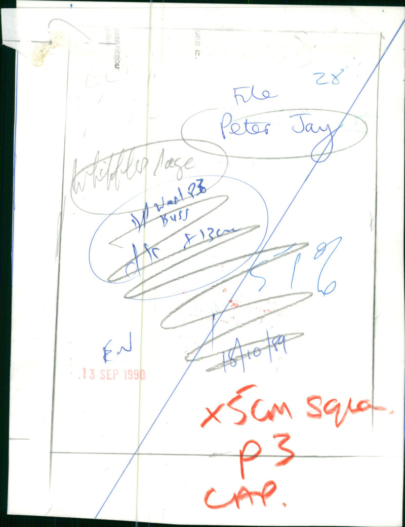 Peter Jay and the Jaywalkers Musical group - Vintage Photograph