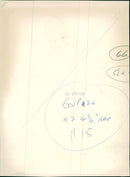 Anne Howells Musical artist. - Vintage Photograph