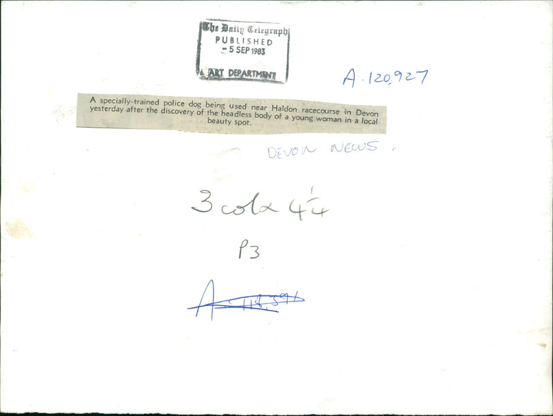 Police dog. - Vintage Photograph