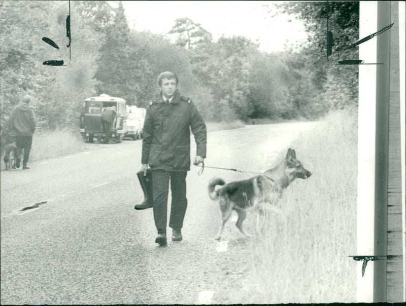 Police dog. - Vintage Photograph