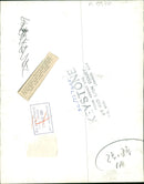 Monkey - Vintage Photograph