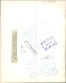 Monkey - Vintage Photograph