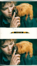 Monkey - Vintage Photograph