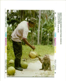 Somphon Seakhow trains a monkey - Vintage Photograph