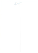 Monkey - Vintage Photograph