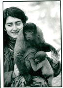 Monkey - Vintage Photograph