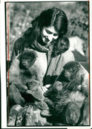 Monkey - Vintage Photograph