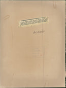 Monkey - Vintage Photograph