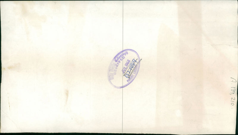 Monkey - Vintage Photograph