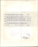 Monkey - Vintage Photograph