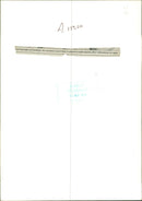 Monkey - Vintage Photograph