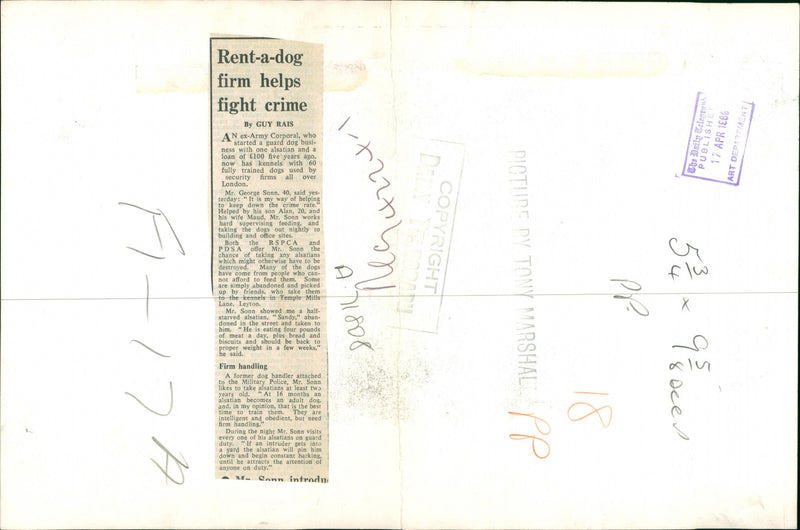 Dogs: Guard Dogs - Vintage Photograph