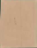 Ringo Starr Musician - Vintage Photograph