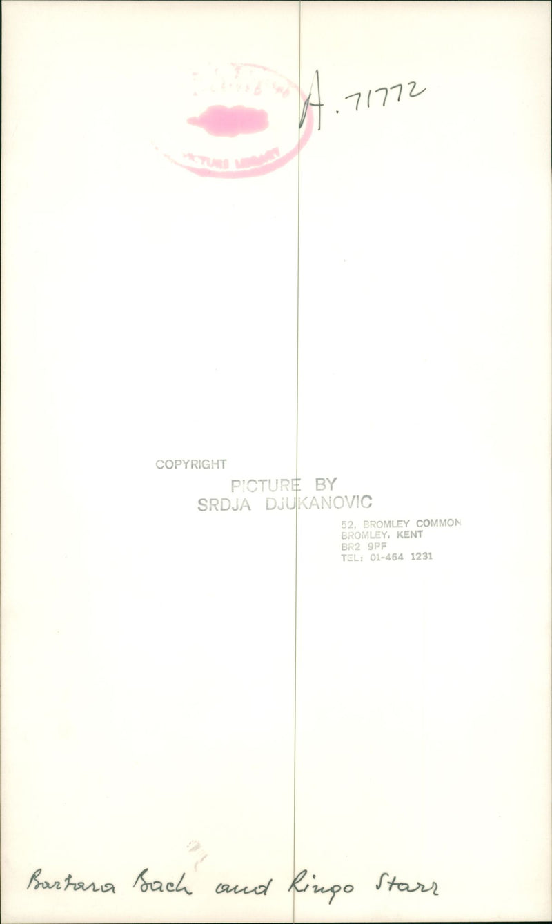 Ringo Starr Musician - Vintage Photograph