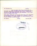 Tiger Animal, Twin tiger cub - Vintage Photograph