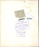 Tiger Animal, Howletts Zoo Park in Kent - Vintage Photograph