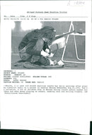 a 11 year old street musician counts her daily earnings after playing [classical muscic on a street. - Vintage Photograph