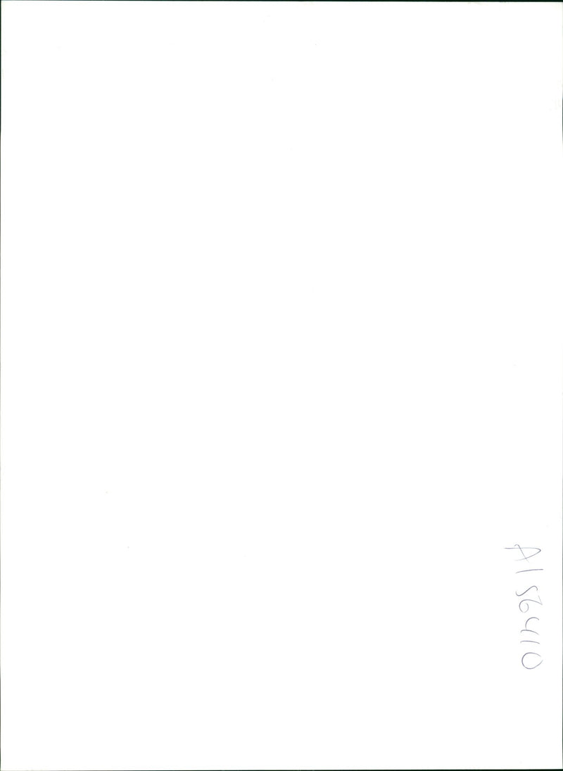 Royal Welch Fusiliers - Vintage Photograph