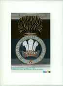 Royal Welch Fusiliers - Vintage Photograph