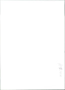 Royal Welch Fusiliers - Vintage Photograph