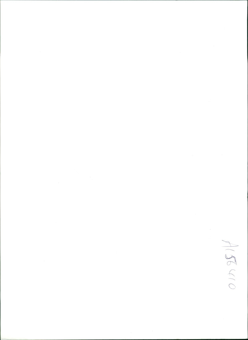 Royal Welch Fusiliers - Vintage Photograph