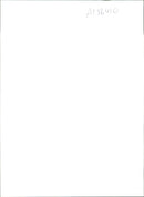 Royal Welch Fusiliers - Vintage Photograph