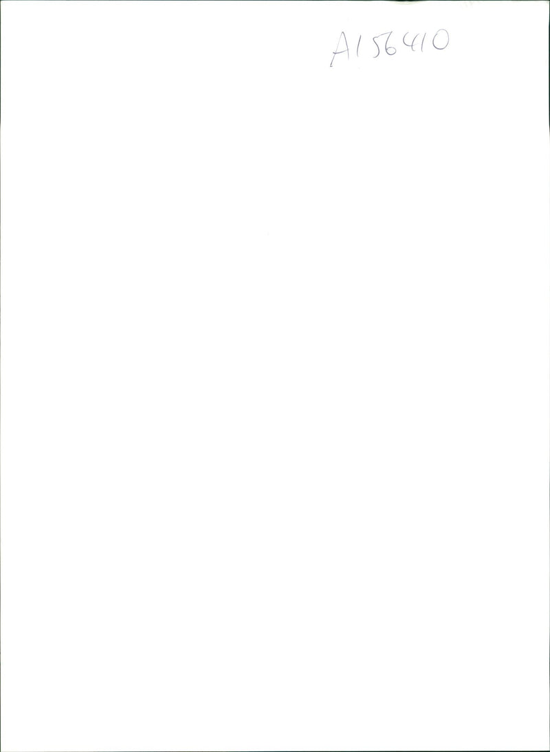 Royal Welch Fusiliers - Vintage Photograph