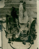 Republic of the Congo - Vintage Photograph