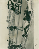 Republic of the Congo - Vintage Photograph