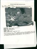 Elephant Animal. - Vintage Photograph