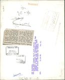 Elephant Animal. - Vintage Photograph