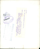 Elephant Animal. - Vintage Photograph