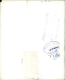 Elephant Animal. - Vintage Photograph