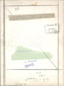 Elephant Animal. - Vintage Photograph