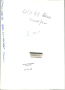 Golden Lion Tamarin Monkey - Vintage Photograph