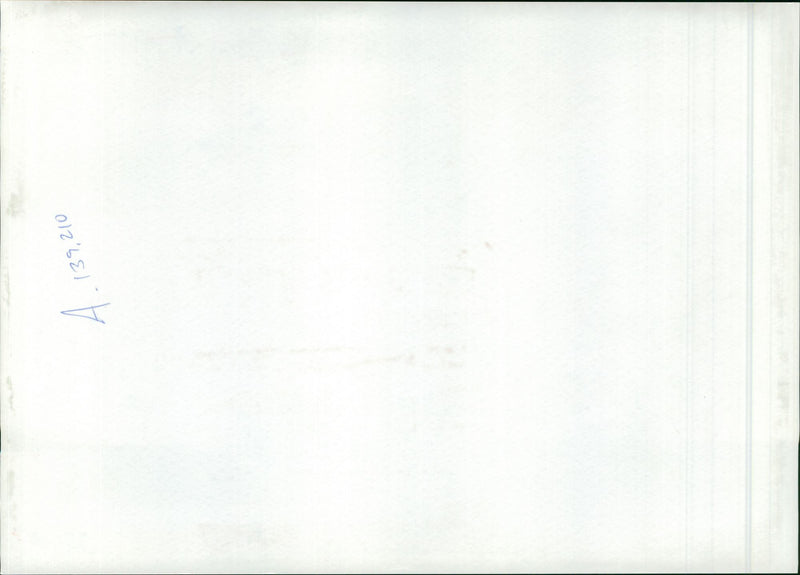 Mico Monkey - Vintage Photograph