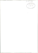 Monkey - Vintage Photograph