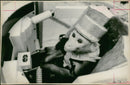 Monkey is harnssed. - Vintage Photograph