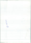 Diana Monkey - Vintage Photograph