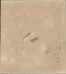 Elephant Animal. - Vintage Photograph