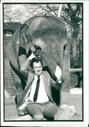 Elephant Animal. - Vintage Photograph