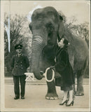 Elephant Animal. - Vintage Photograph