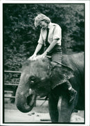 Elephant Animal. - Vintage Photograph
